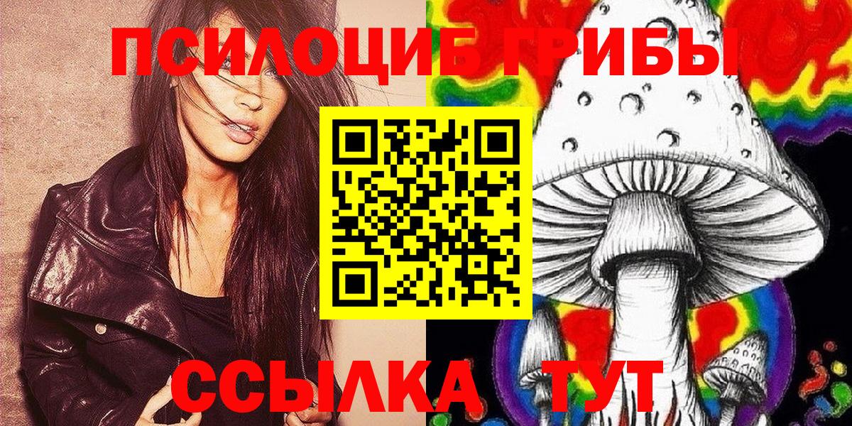 Сальск  Галлюциногенные грибы Psilocybe  Вход с VPN 